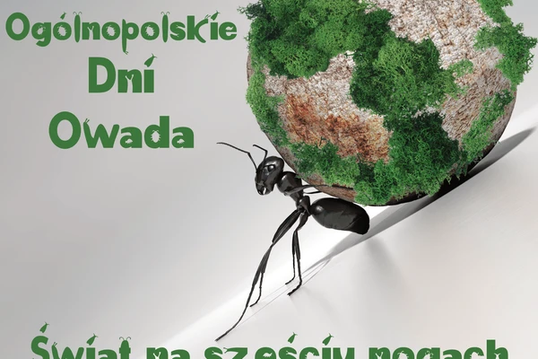 Dni Owada